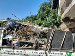 Best Mattress Disposal  in Trenton, MI